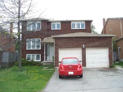 1 bedroom suite Self contained, Utility included Image# 1