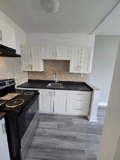 1 BED 1 BATH APARTMENT Image# 1