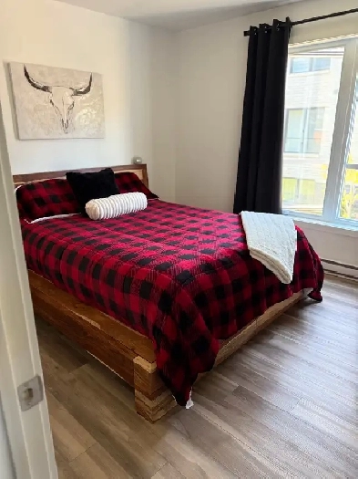 5 et demi à louer (je cède mon Bail) Image# 1