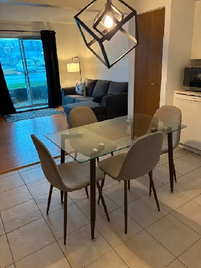 3 ½ très ensoleillé (DÉCEMBRE/Janvier) Image# 1