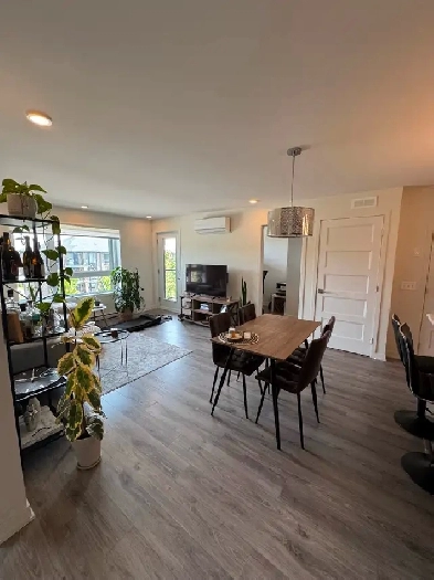 Appartement de 2 chambres et une pièce bureau (electros inclus) Image# 6