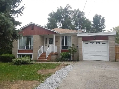 New renovated one bed room basement apartment Bathust/ Sheppard Image# 1