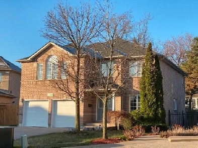 Close to UTM and Sheridan Centre Basement with Separate Entrance Image# 1