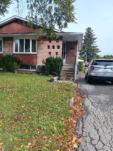 Semi Detached Backsplit House for Rent Image# 1