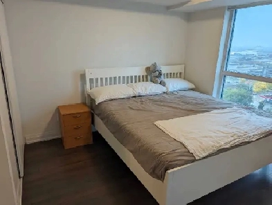 Private Room in a 2 Bed 2 Bath Condo Image# 1