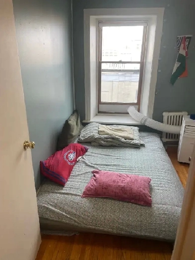 Room for rent DT Guelph Image# 3