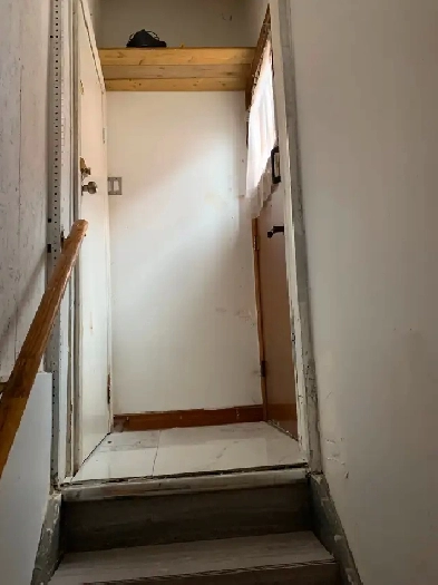 Basement Apartment for rent in Malton Mississauga Ontario Image# 1