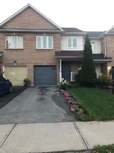 1 Bed, 1 Bath Basement Image# 1