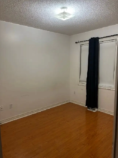 room for rent in maple/vaughan Image# 4