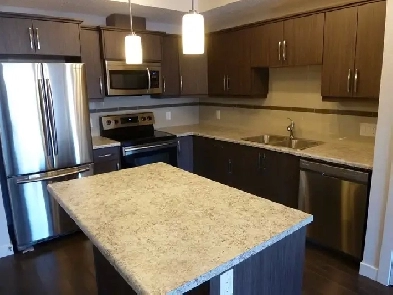 Modern 2B/2B Condo for Rent Image# 1