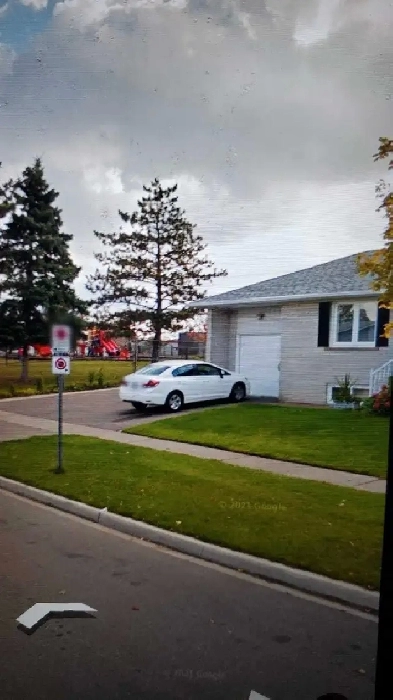 one room available now! basement, separate entrance Brampton Image# 1
