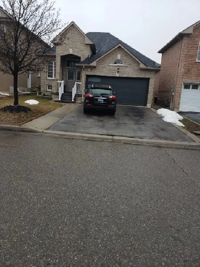 4 Bedroom Home for Rent Brampton Dec 1st 3,900/mth   utils Image# 1