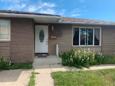 room for rent Rundle area Image# 1