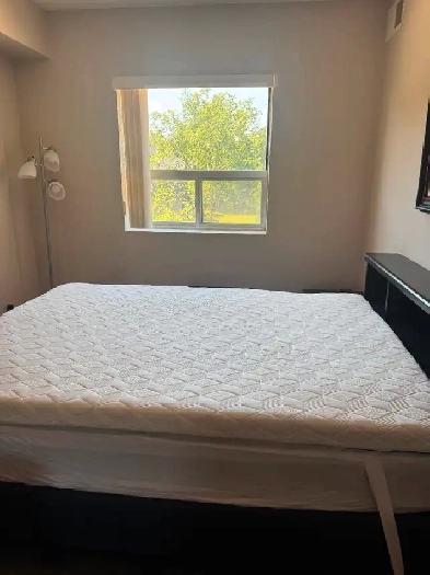 Room for rent in two bedroom apartment available January 1 Image# 1