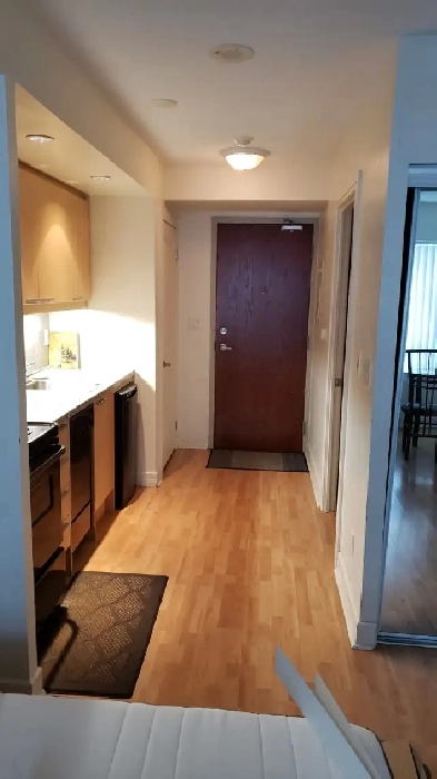 CONDO Studio fully furnished short or long term Yonge & Sheppard Image# 1
