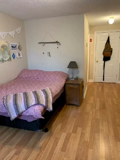 Shared Accommodation Image# 9