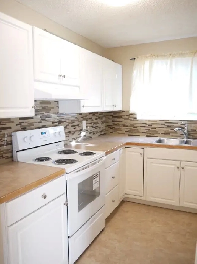 3 Bedroom/1.5 Bath Main Floor- Kitchen Renovated/Windows-Pets OK Image# 1