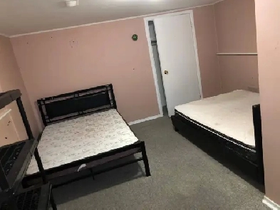 Basement for Rent near Scarborough town center Image# 1