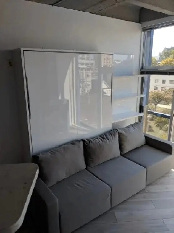 Dogs welcome Downtown studio condo 1800 utilities included