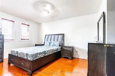 One Bed One Bath Image# 1