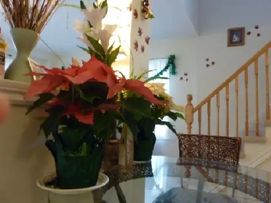 Modern House with Park Views and Tranquil Pond: Ideal Living Env Image# 1