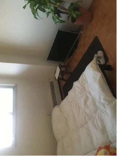 a room for rent Image# 1