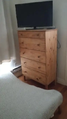 Furnished 1 bedroom apartment downtown - immediately or Dec 1 Image# 1