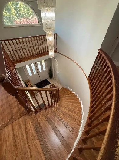 Spacious furnished bedroom for rent Image# 1