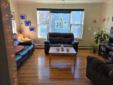 2 bedroom apartment for sublet in St Boniface Image# 1