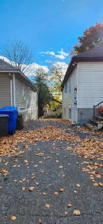Chambre à Louer Image# 1