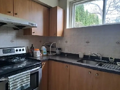 Bright & Spacious 1 Bedroom Basement for Rent in Scarborough Image# 1