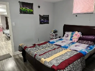 3 Bedroom Basement Apartment for Rent (Mississauga Rd / Steeles) Image# 1