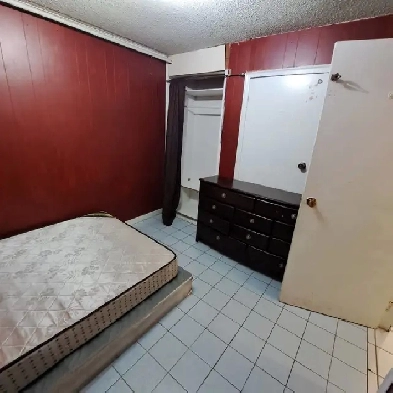 Basement For Rent in Malton Mississauga-December 2025 Image# 1