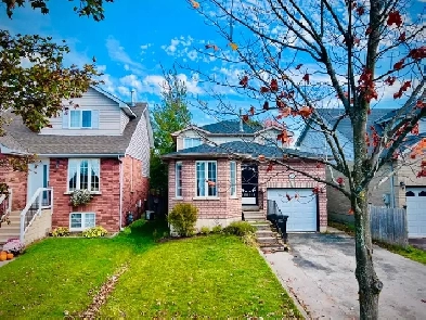 3 bedroom house for rent in ‼️Barrie ‼️ Image# 1