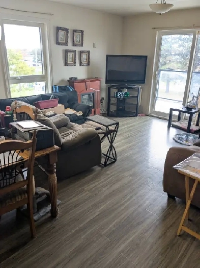 cherche coloc Image# 2