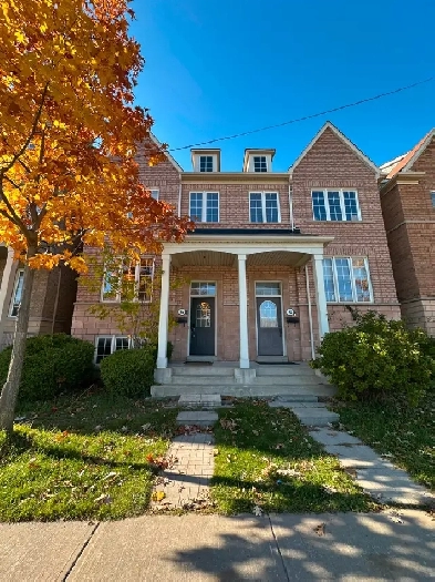 Spacious 2 bedroom basement for rent at York University Image# 1