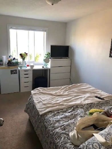 room for university of Guelph student Image# 1