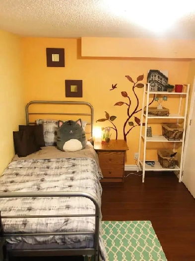 Eglinton & Birchmount (private room) Image# 1