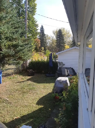 Recherche Coloc/225$ sem/nourriture incluse Image# 1