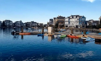 2 bedrooms Basment for rent Image# 1