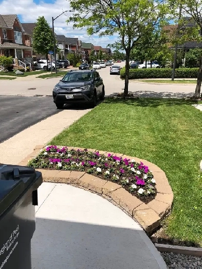 2-bdrm w/o basement apartment available Dec 1st or after Image# 1