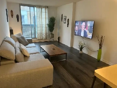 Fully Furnished 3.5 Apart | Short-Term Rent Image# 2