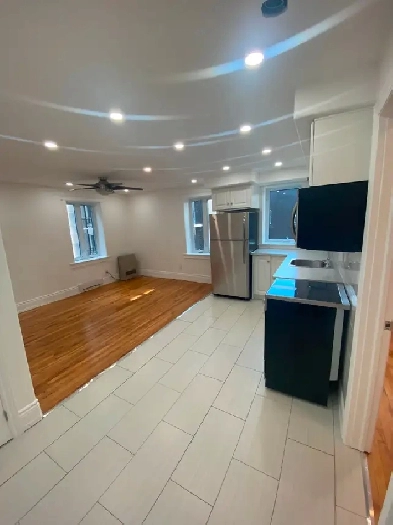 Fully renovated 1-bedroom unit- Downtown-Available January 1st! Image# 1