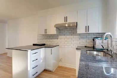 Grand 4 1/2 rénové à Mirabel - Libre maintenant - Internet inclu Image# 3