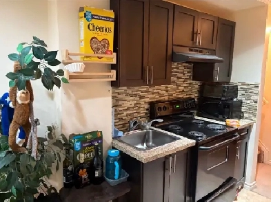 1 Bedroom Basement for rent in Airdrie Image# 6