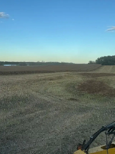 looking for farm land Image# 1