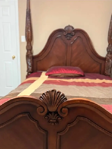 urgent affordable all include furnished too for rent female only Image# 1