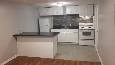 Recently Renovated and LEGAL  1 Bedroom Basement Apartment Image# 1