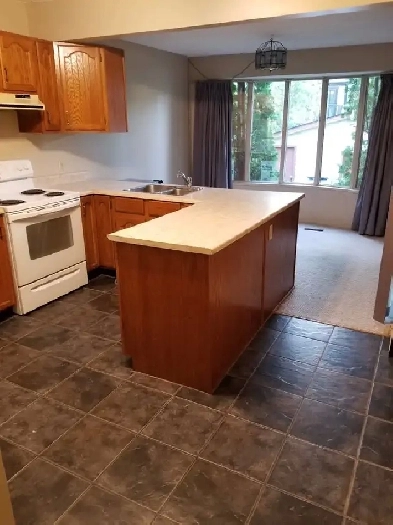 2 Bedroom Main Floor in McKernan Image# 1