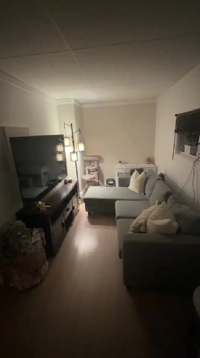 Two bedrooms apartment   1 bathroom Image# 6